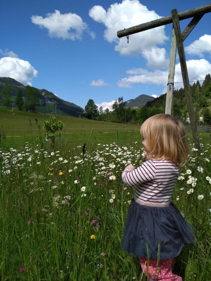 Blonbauer Βίλα Schladming Εξωτερικό φωτογραφία