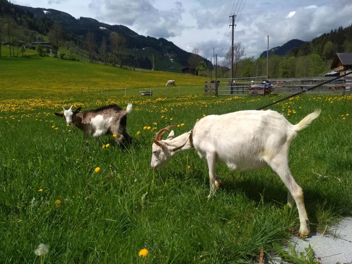 Blonbauer Βίλα Schladming Εξωτερικό φωτογραφία