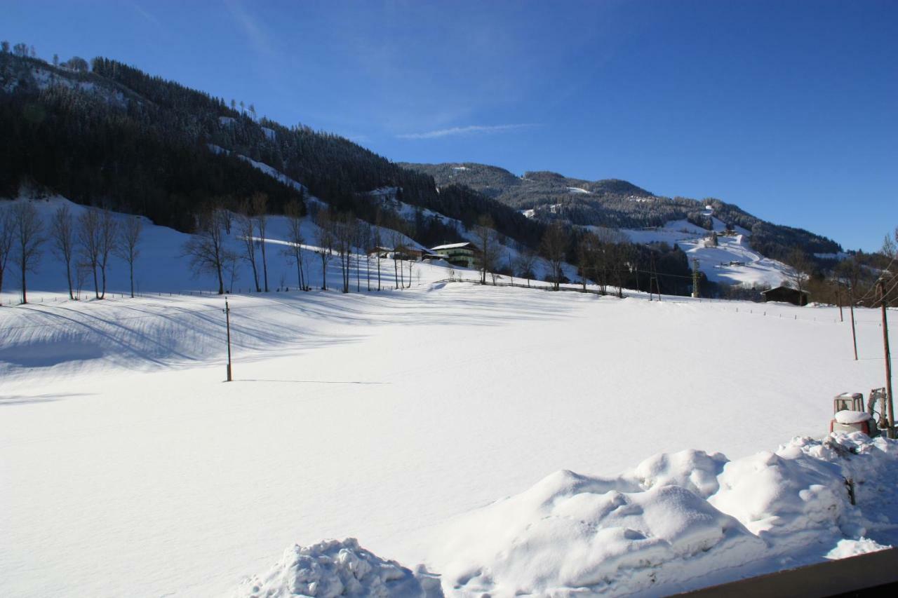 Blonbauer Βίλα Schladming Εξωτερικό φωτογραφία
