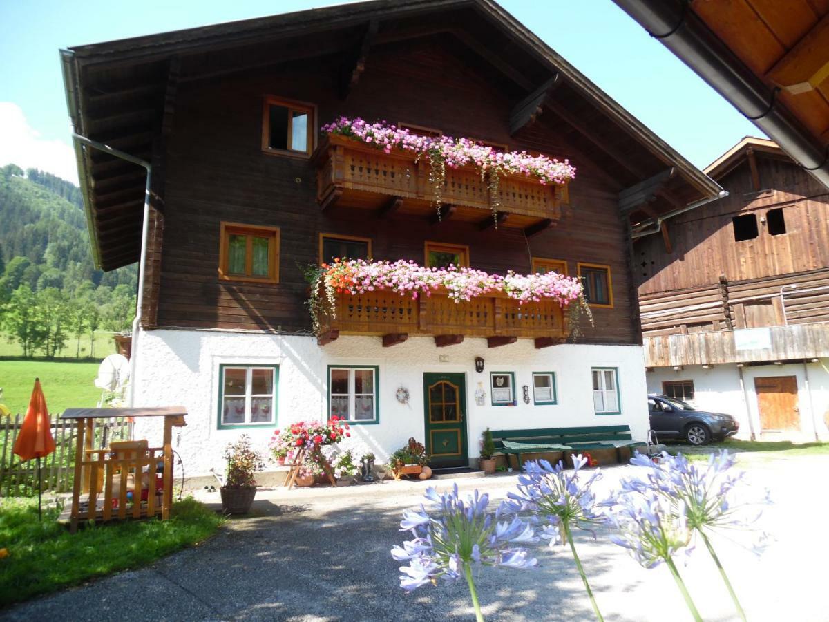 Blonbauer Βίλα Schladming Εξωτερικό φωτογραφία